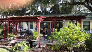 The Three Sisters - Crystal River FL - Crystal River - 5