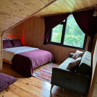 Zenidekal Apart - Ardeşen - 9