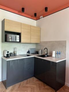 Apartament TAMAJA - Bielsko-Biała - 5