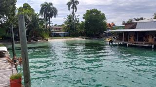 Dive and Surf 2 - Bocas del Toro - 1