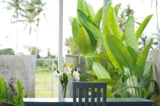 The Serenity Villas - Ubud - 5