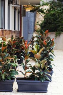 Golden Beach Suites - Saranda - 3