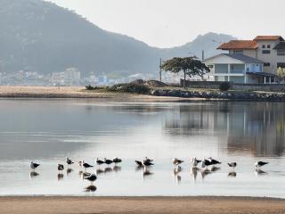 Apt confortável a 350 metros do mar HA0964 - São Francisco do Sul - 7