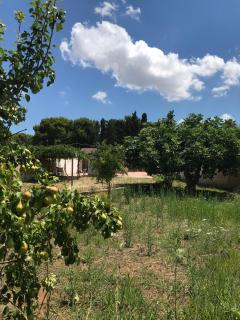 Appartamento in villetta a 300mt dal mare - Gallipoli - 5