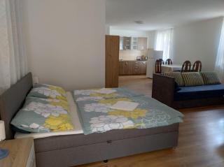 Hotel St.Florian Sturovo - Štúrovo - 8