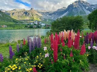 2 pièces 41m², sud/ouest, à 500m des pistes avec Wifi - FR-1-449-23 - Tignes - 1