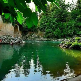 A house in nature - Mukhuri - 6