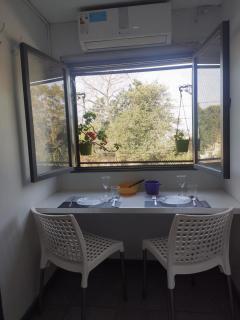 Cana Cacum - Yerba Buena - 8