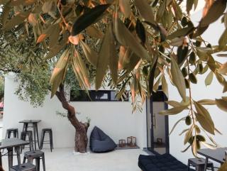 The Olive Hills - Skala Rachoniou - 5