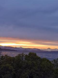 Calafates y lavandas - 3