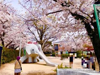 Sakura Apartment - Vacation STAY 17178 - Toyonaka - 9