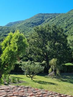 Mas XVIIIème au cœur de la Drôme provençale - - 1