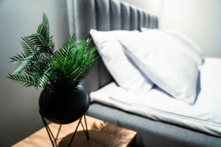 Apartamenty I SORAU - 3