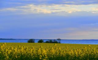 Langø Fjord Glamping NR 1 - 5