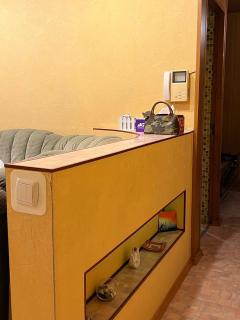 Quiet 3-room Stay in the Greenest Part of Bishkek - Bishkek - 7