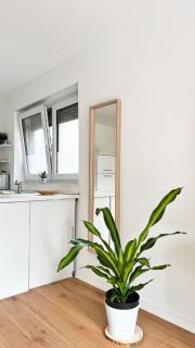 2 ZKB Apartment in Mannheim Küche - Parken - Großer TV - Mannheim - 6