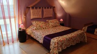 Le Logis du Livier - Saint-Georges-sur-Layon - 7