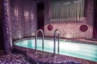 Diamond Prywatny Basen & Sauna Apartament Poznań - Poznań - 0
