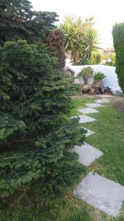 Garden House - Amarynthos - 3