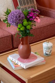 New Flat Terracotta Style - Greater Paris district - 4