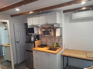 Well Equipped Studio FOR NON-SMOKING GUESTS ONLY CITQ ЗO9467 - Longueuil - 6