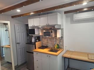 Well Equipped Studio FOR NON-SMOKING GUESTS ONLY CITQ ЗO9467 - Longueuil - 5
