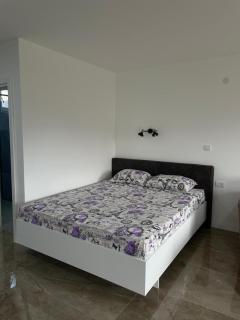 Apartmani Dimitrijevic - Bajina Bašta - 5