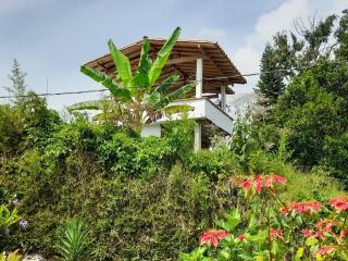 Casa Finca Minas - Estación Angelópolis - 7
