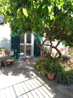 Lemon Garden Apartament - Palermo - 0