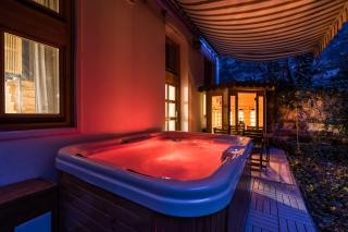 Wellness Wonderland Garden, Sauna, Jacuzzi in CBD - Budapest - 9