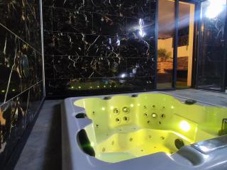R luxury piscine et spa privatifs - Colmar - 3