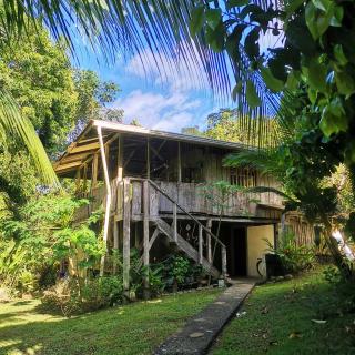 Pavones Rustic Jungle Cabin - Pavones - 4