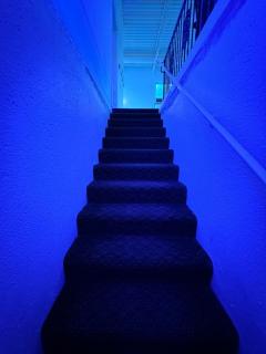 Holden Villa Retreat - 5