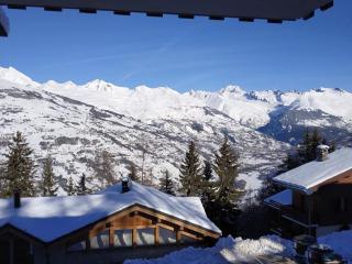 Studio rénové près centre, balcon, vue Mont-Blanc - FR-1-181-2828 - 4