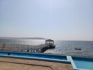 Gaviotas de Paracas - Paracas - 3