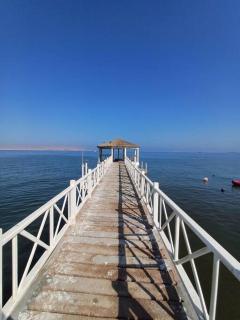 Gaviotas de Paracas - Paracas - 1