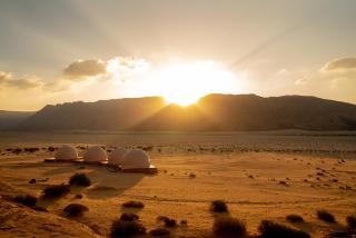Wild Oryx Camp Bubbles - Wadi Rum - 8