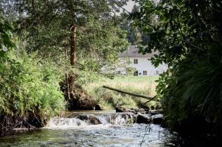 Auszeit am Kamp - Ferienhaus Rametsteiner - - 2