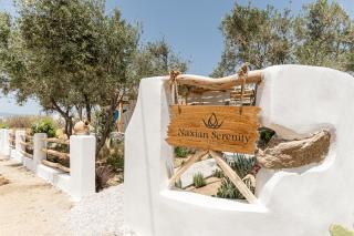 Naxian Serenity Suites - 3
