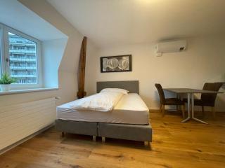 SCHNYDER'S HOME Studio_2 - Rapperswil-Jona - 9