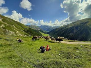 Tea da Nardo in Val Federia - Livigno - 3