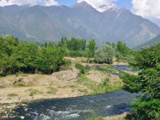 Bella Vista Home Stay - Srinagar - 0