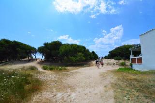 Villa Teresa con accesso diretto alla Spiaggia di Punta Prosciutto - 7