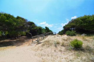 Villa Teresa con accesso diretto alla Spiaggia di Punta Prosciutto - 6