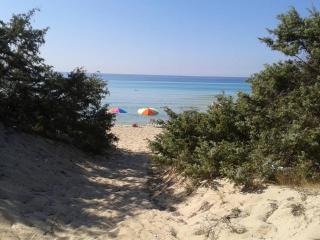 Casa Vacanza Ida 1A con accesso diretto alla Spiaggia di Punta Prosciutto - 9
