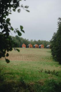 Domki W Sam Las & SPA Lubenia - 7