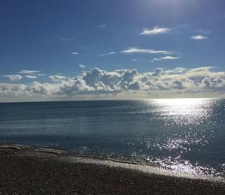 Little Sycamore - Lyminge - 5