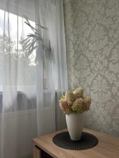 Vītolu apartment - Liepāja - 4