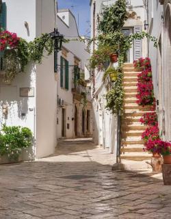 Dimora Fiorita - Martina Franca - 8