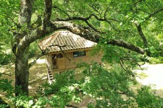 Les Grands Bois Gite et cabane - - 7